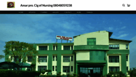 What Amarnursing.com website looked like in 2022 (2 years ago)