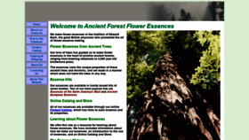 What Ancientforestessences.com website looked like in 2022 (1 year ago)