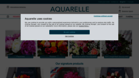 What Aquarelle.com website looked like in 2022 (1 year ago)