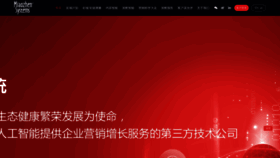What Admaster.com.cn website looked like in 2022 (1 year ago)