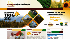 What Anapobolivia.org website looked like in 2022 (1 year ago)