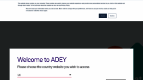 What Adey.com website looked like in 2022 (1 year ago)