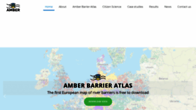 What Amber.international website looked like in 2022 (3 years ago)