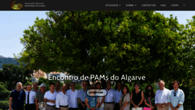 What Anam.pt website looked like in 2022 (1 year ago)