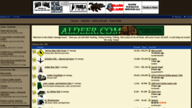 What Aldeer.com website looked like in 2022 (1 year ago)
