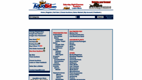 What Aquabid.com website looked like in 2022 (1 year ago)
