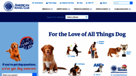 What Akc.org website looked like in 2023 (1 year ago)