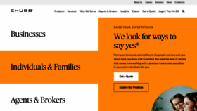 What Acegroup.com website looked like in 2023 (2 years ago)