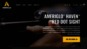 What Ameriglo.com website looked like in 2023 (1 year ago)