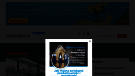 What Agropolska.pl website looked like in 2023 (3 years ago)