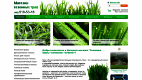 What Agbina-grass.ru website looked like in 2023 (1 year ago)