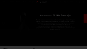 What Arcelik.com.tr website looked like in 2023 (1 year ago)