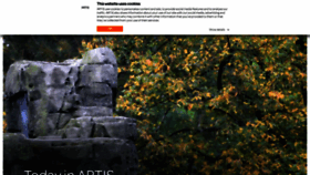 What Artis.nl website looked like in 2023 (1 year ago)