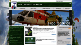 What Aviales.ru website looked like in 2023 (2 years ago)