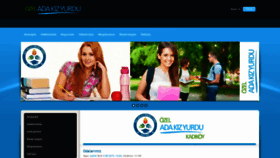 What Adakizyurdu.com website looked like in 2023 (1 year ago)