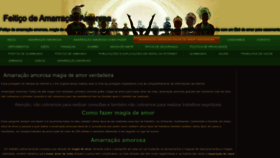 What Amarracaodeamor.org website looked like in 2023 (This year)