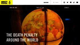What Amnesty.org.nz website looked like in 2023 (This year)