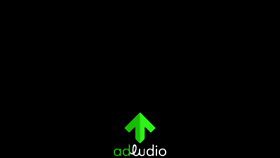 What Adludio.com website looked like in 2023 (This year)
