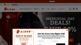 What Acorn.com website looked like in 2023 (This year)