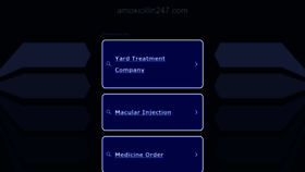 What Amoxicillin247.com website looked like in 2023 (This year)