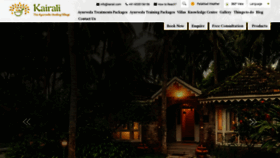 What Ayurvedichealingvillage.com website looked like in 2023 (This year)