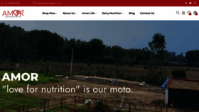 What Amorfarm.com website looked like in 2023 (This year)
