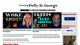 What Amazingpolly.net website looked like in 2023 (This year)