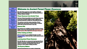What Ancientforestessences.com website looked like in 2023 (This year)