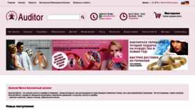 What Auditor585.de website looked like in 2023 (This year)