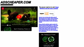What Adscheaper.com website looked like in 2023 (This year)