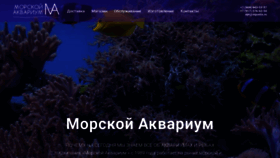 What Aquatis.ru website looked like in 2023 (This year)