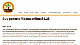 What Axfildena.com website looked like in 2023 (This year)