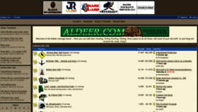 What Aldeer.com website looked like in 2023 (This year)