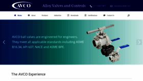 What Avcovalve.com website looked like in 2023 (This year)