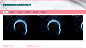 What Ahmingshuo.com website looked like in 2023 (This year)