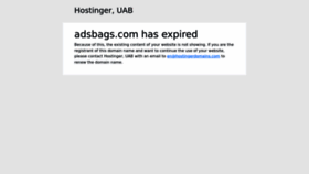 What Adsbags.com website looked like in 2023 (This year)