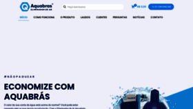 What Aquabras.com website looked like in 2023 (This year)