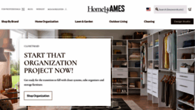 What Ames.com website looked like in 2023 (This year)