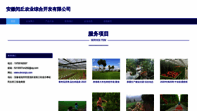 What Ahrunqiu.com website looked like in 2023 (This year)