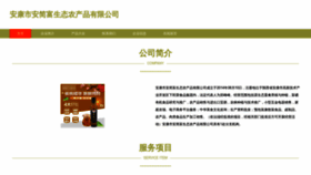 What Anjianfushop.com website looked like in 2023 (This year)