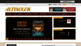 What Altinoluk.com website looked like in 2023 (This year)