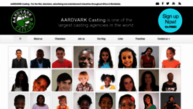 What Aardvarkcasting.com website looked like in 2023 (This year)