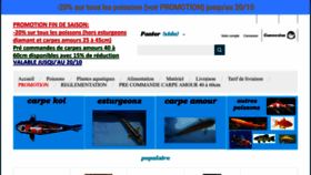 What Aerotranskoi.fr website looked like in 2023 (This year)