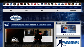 What Alliancehockey.com website looked like in 2023 (This year)