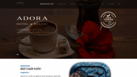 What Adora.com.tr website looked like in 2023 (This year)