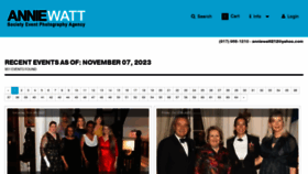 What Anniewatt.com website looked like in 2023 (This year)