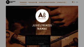 What Amalgamus.lt website looked like in 2023 (1 year ago)