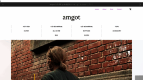 What Amgot.shop website looked like in 2023 (This year)