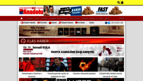 What Anadolugazetesi.net website looked like in 2023 (This year)
