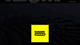 What Alkomshina.ru website looks like in 2024 